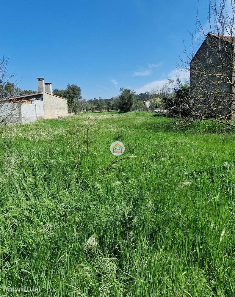 Terreno Urbano na Lousã - Grande imagem: 5/11