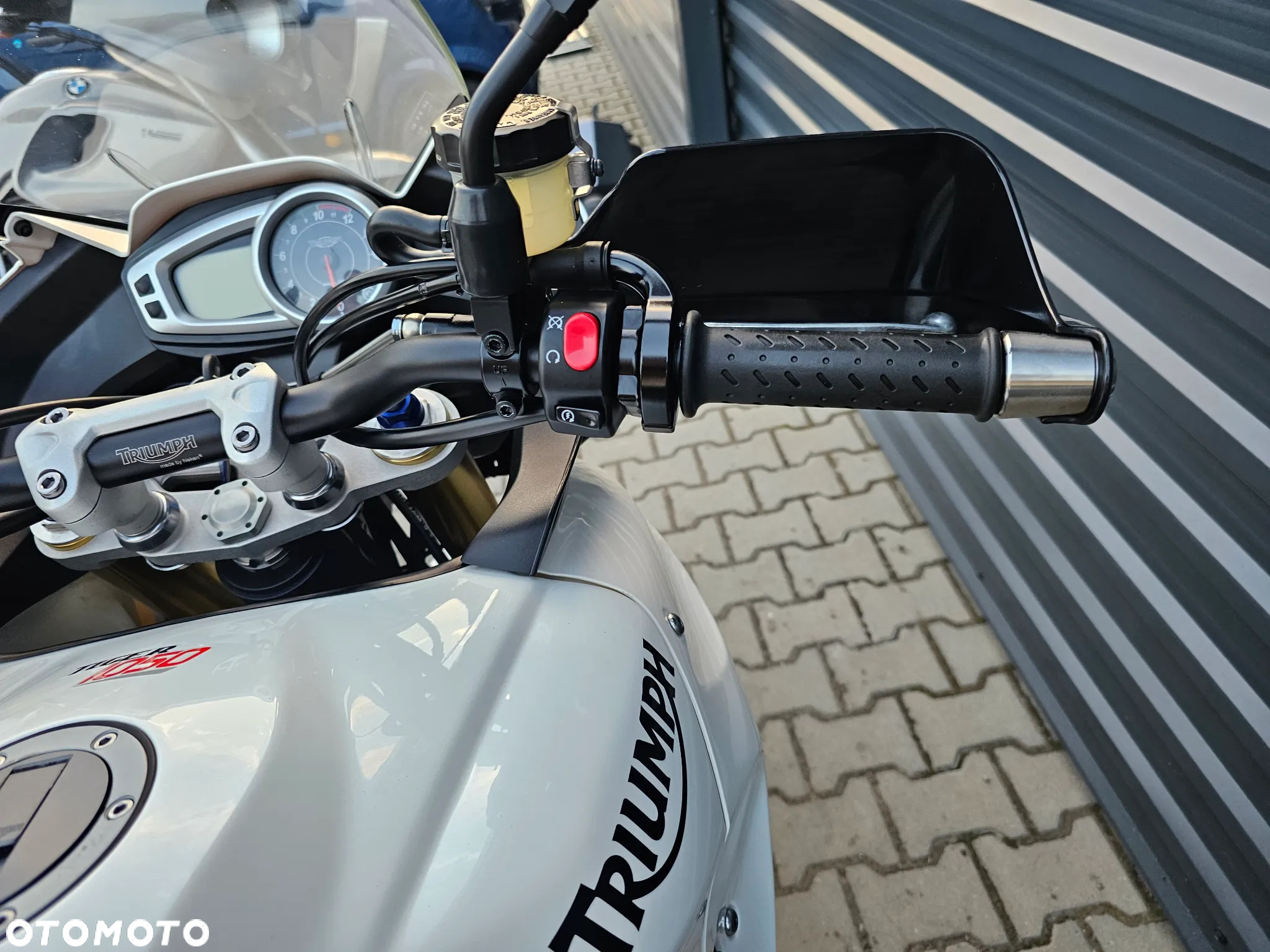 Triumph Tiger - 16
