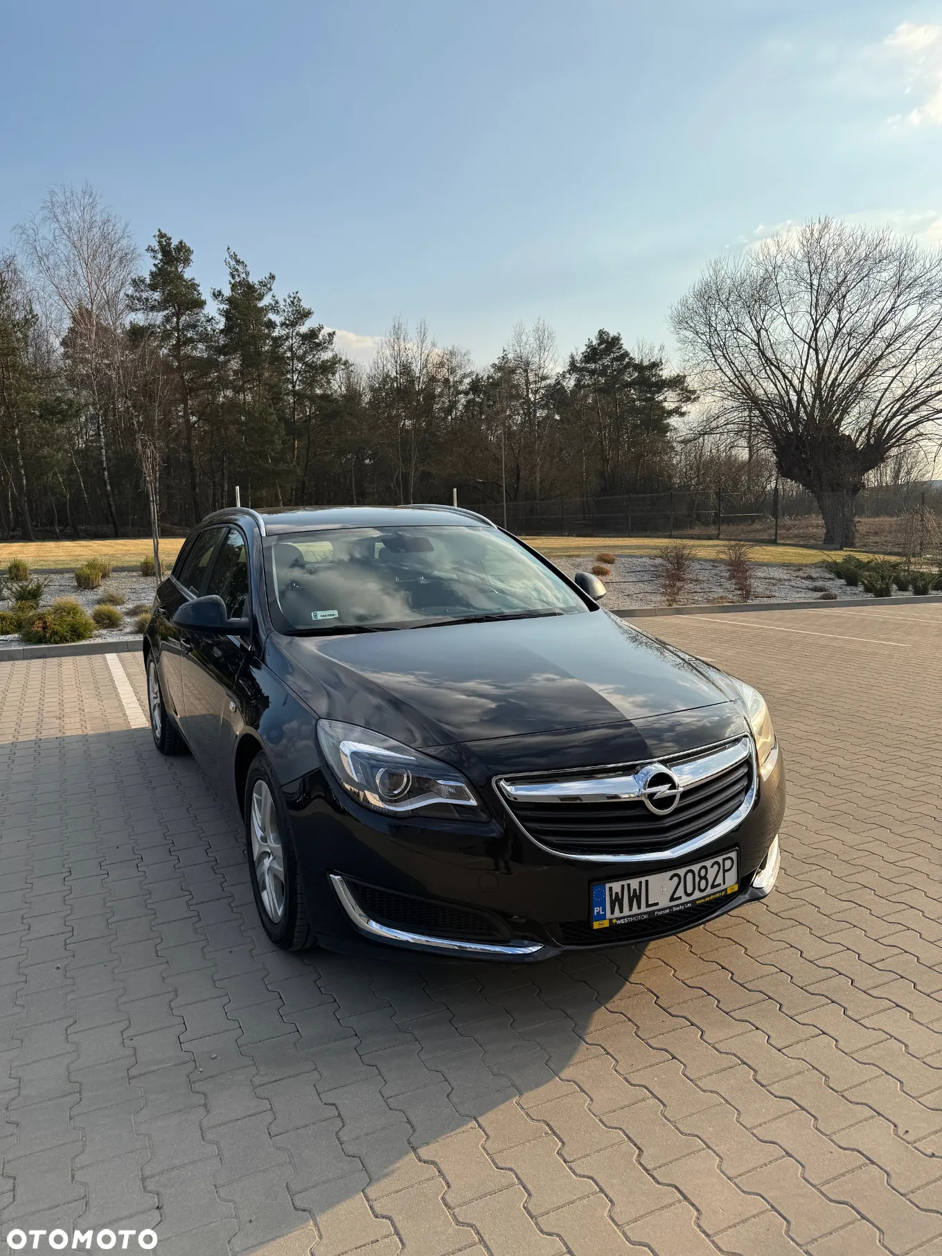 Opel Insignia 2.0 CDTI Cosmo S&S - 2