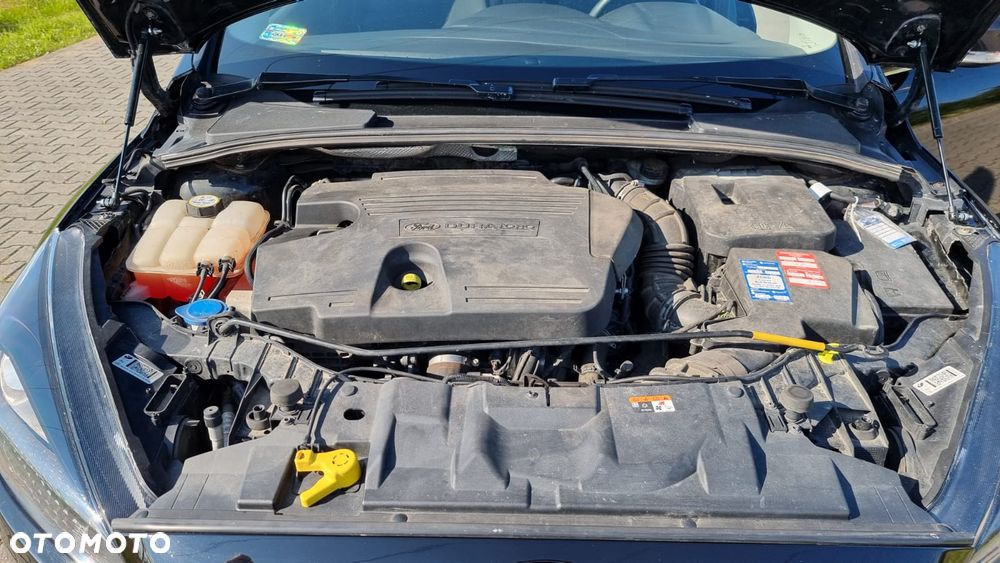 Ford Focus - 20