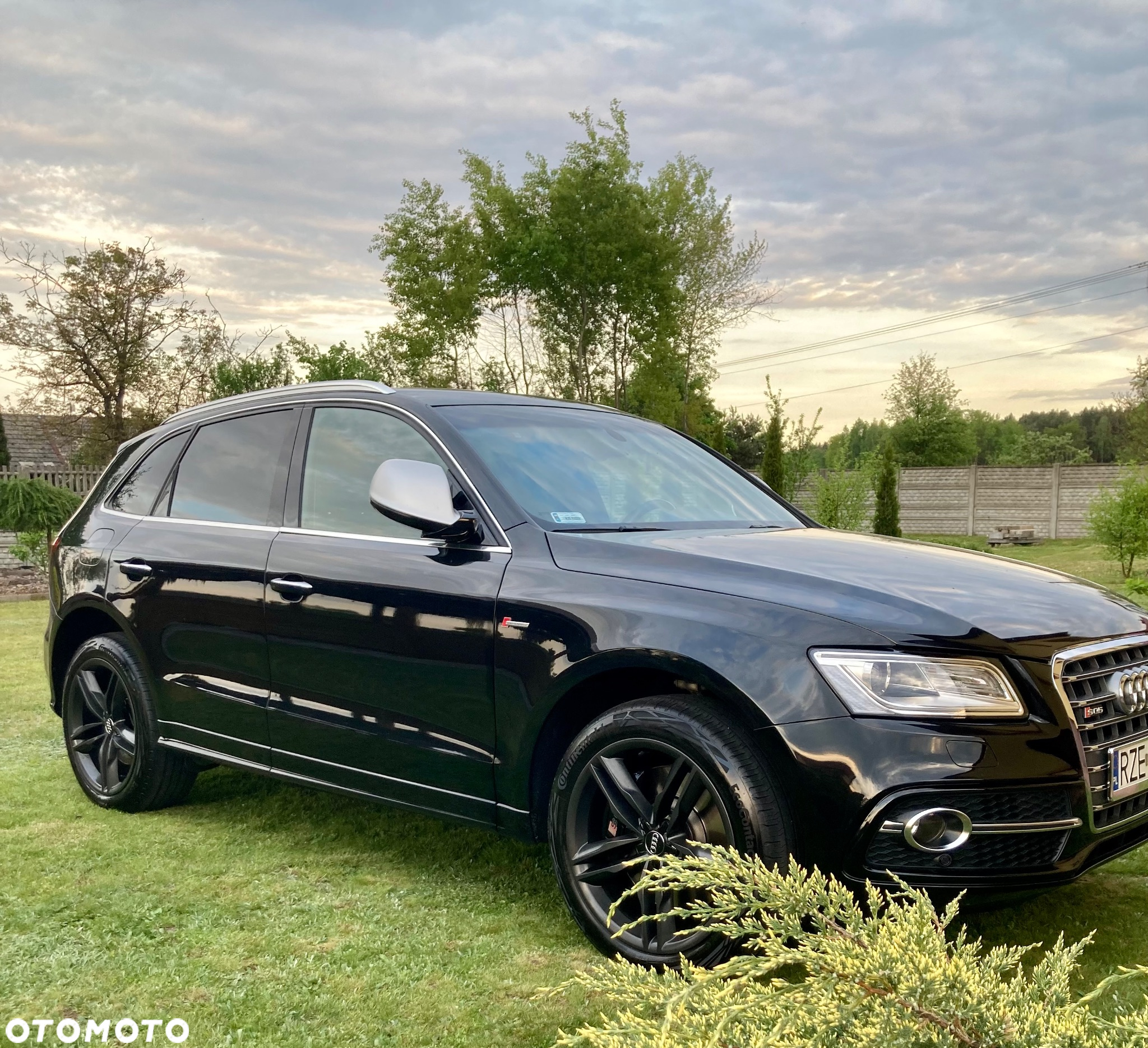 Audi SQ5 3.0 TFSI Quattro Tiptronic - 14