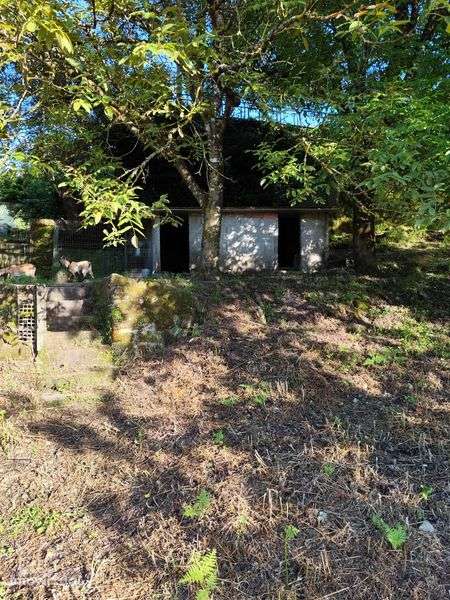 Terreno Rústico/Quintinha em Tondela - Grande imagem: 2/10