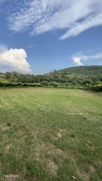 Terreno no Gove/Baião para venda - Grande imagem: 4/4