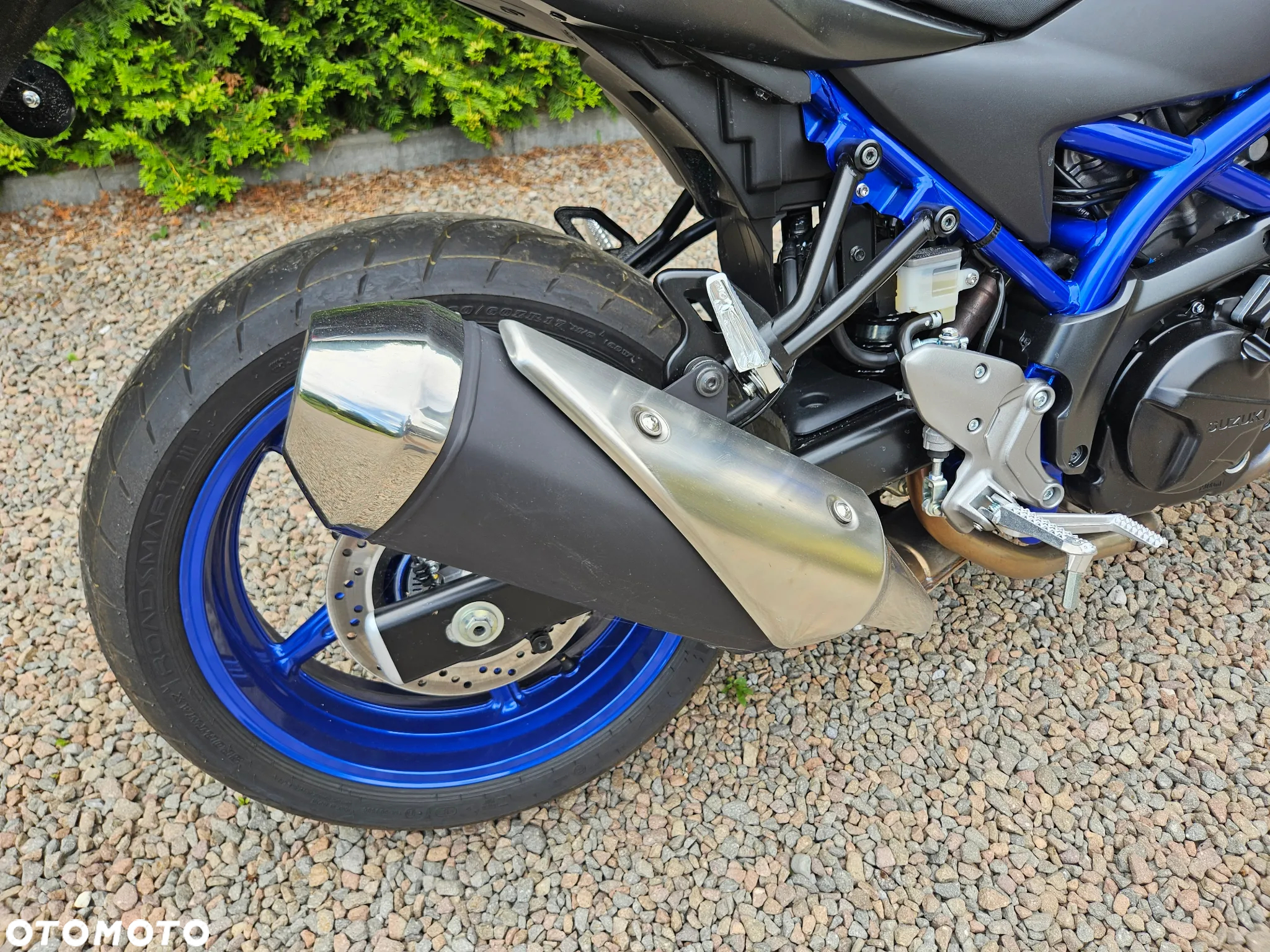 Suzuki SV - 13