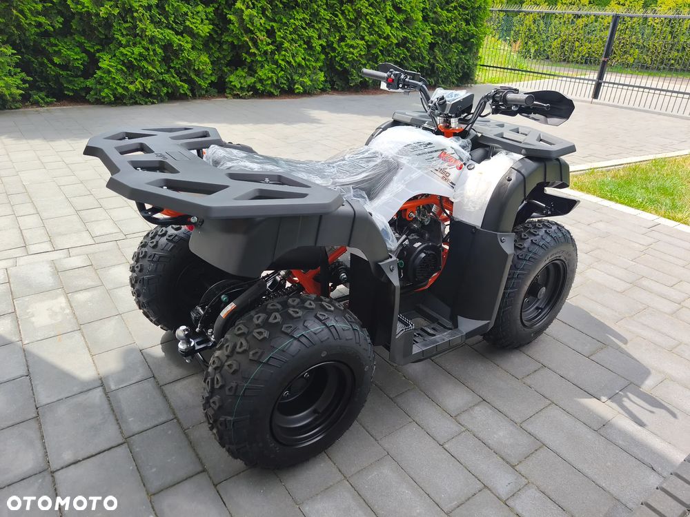 KAYO AU - 3