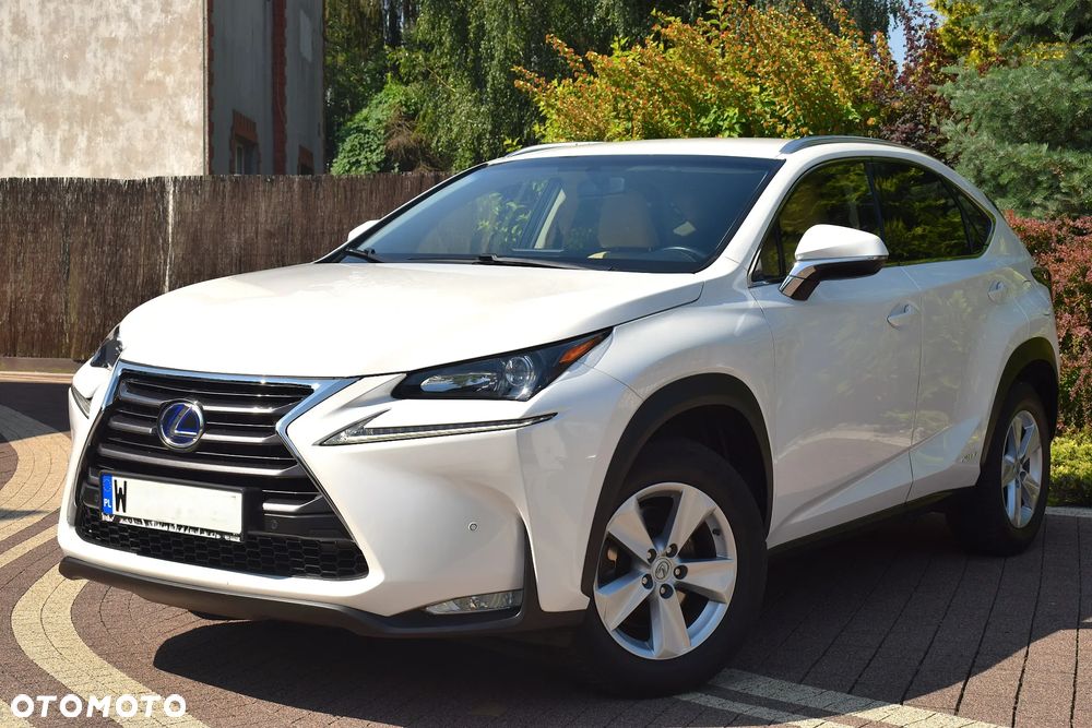 Lexus NX 300h Prestige AWD - 14