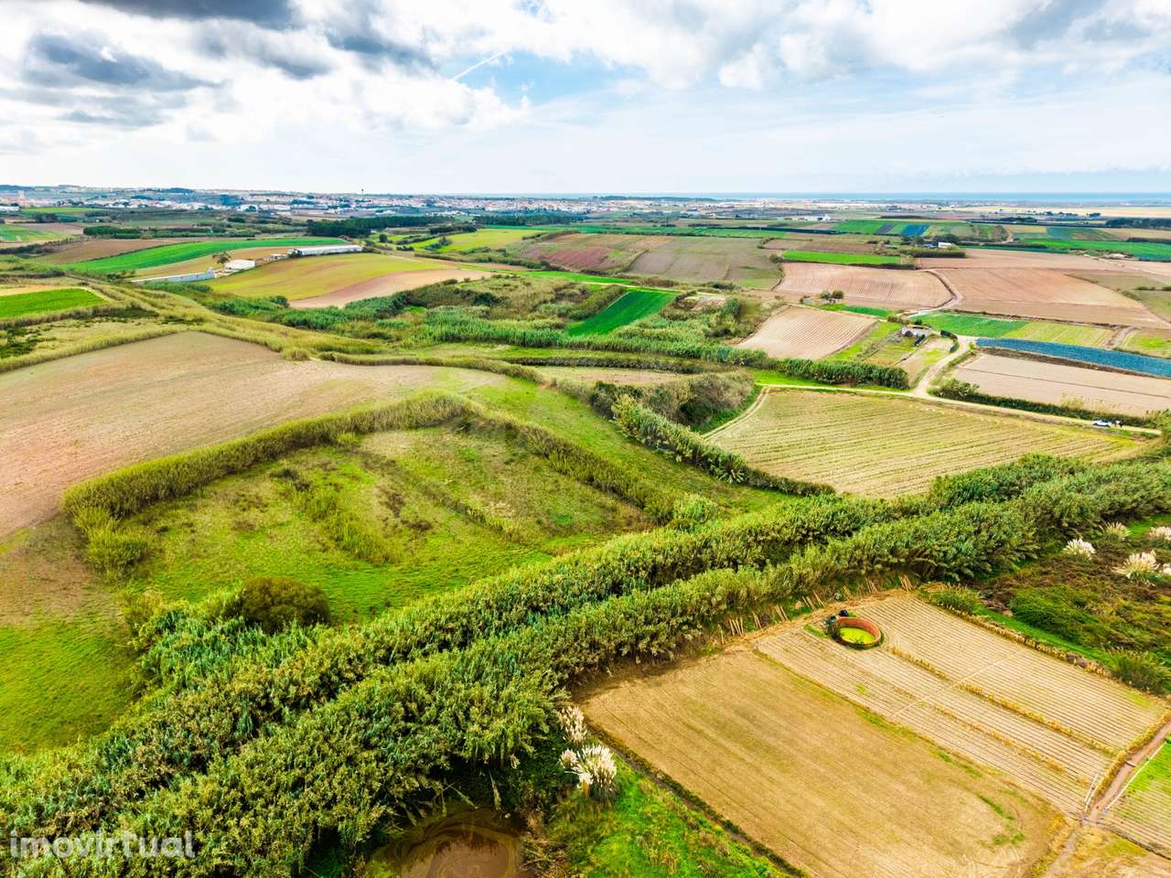 Terreno Rústico – Pombeira, Ferrel (Peniche) - Grande imagem: 5/13