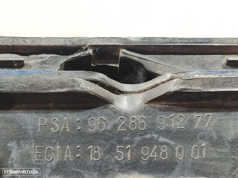 Grelha Central Pará-choques Frente Frontal Peugeot 206 Original - 6