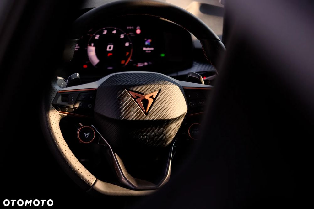 Cupra Terramar 2.0 TSI 4Drive VZ DSG - 13