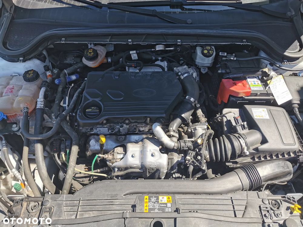 Ford Focus 1.6 FF Titanium - 6