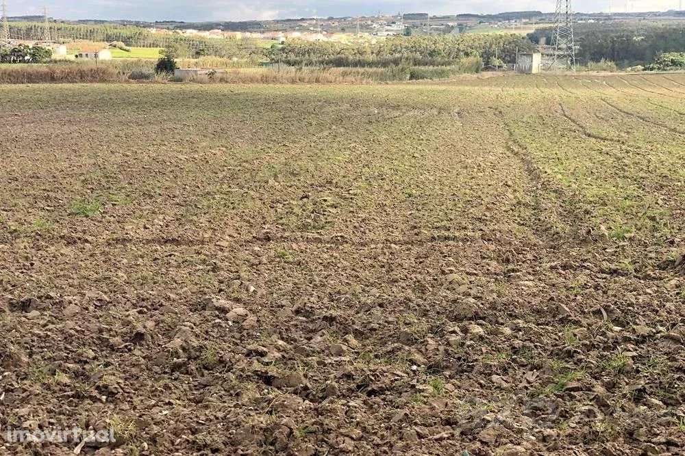 Terreno Rústico de 14.000 m² na Vila de Atouguia da Baleia - Grande imagem: 4/23