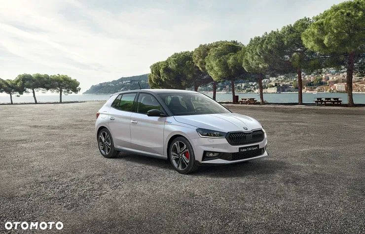 Skoda Fabia - 3