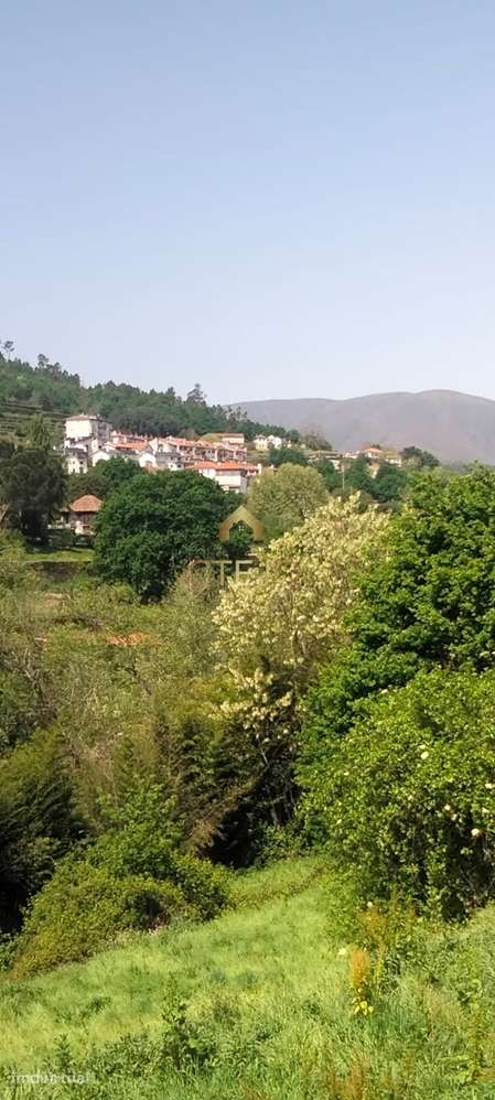 MORADIA  Á VENDA LUGAR DE PONTE  SAÕ PEDRO DO SUL - Grande imagem: 3/20
