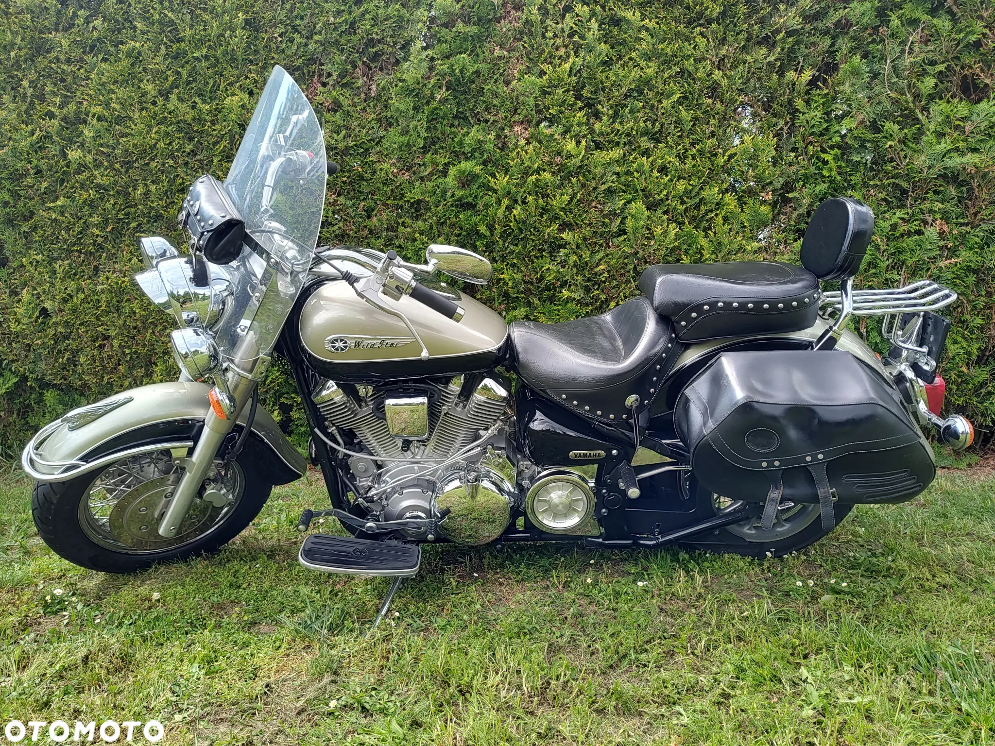 Yamaha Wild star - 6