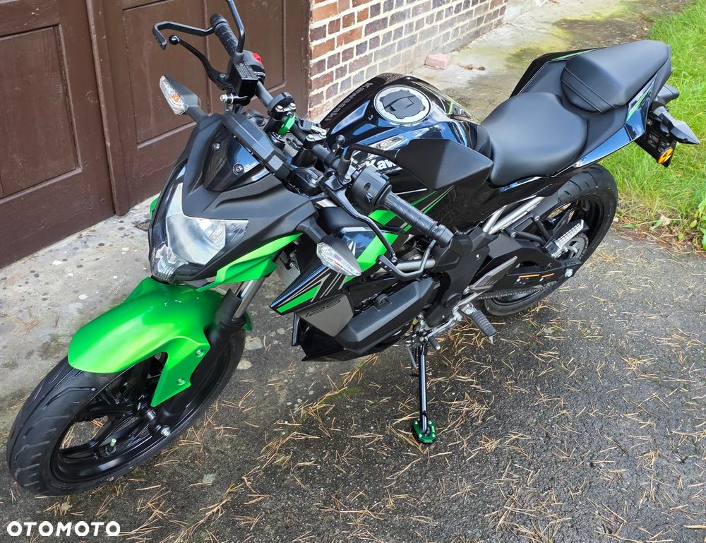 Kawasaki Z - 6