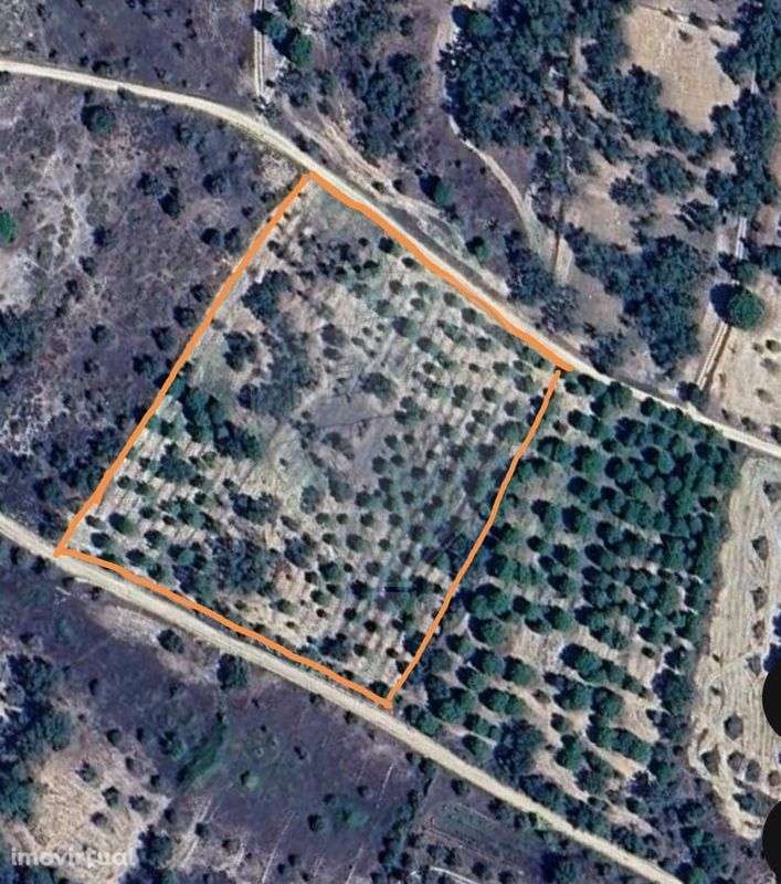 Terreno  para venda - Grande imagem: 2/13