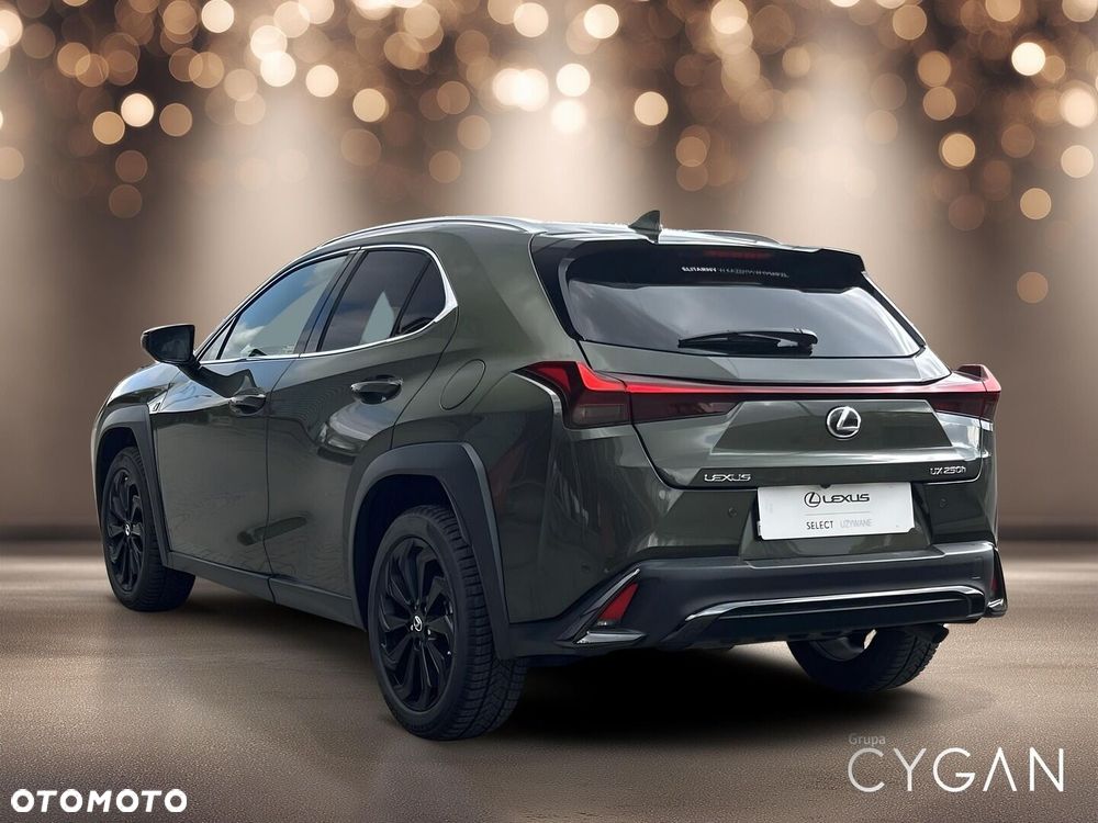 Lexus UX 250h GPF F Sport Design+ 2WD - 5