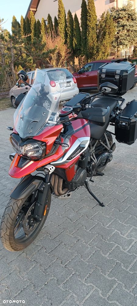 Triumph Tiger - 1