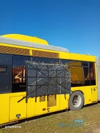 Maz Autobus MAZ 215069 miejski - 3