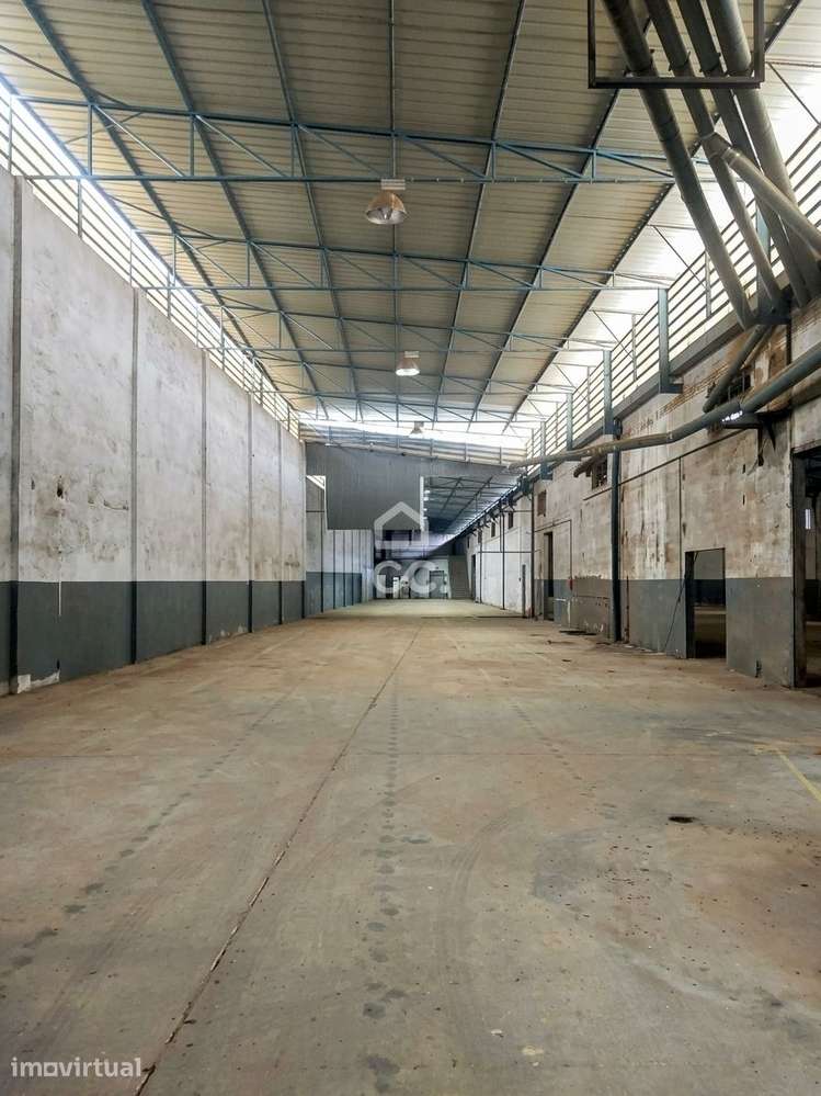 Armazém Industrial com 2 Naves e Logradouro – Amiais de Baixo, Santaré - Grande imagem: 2/22
