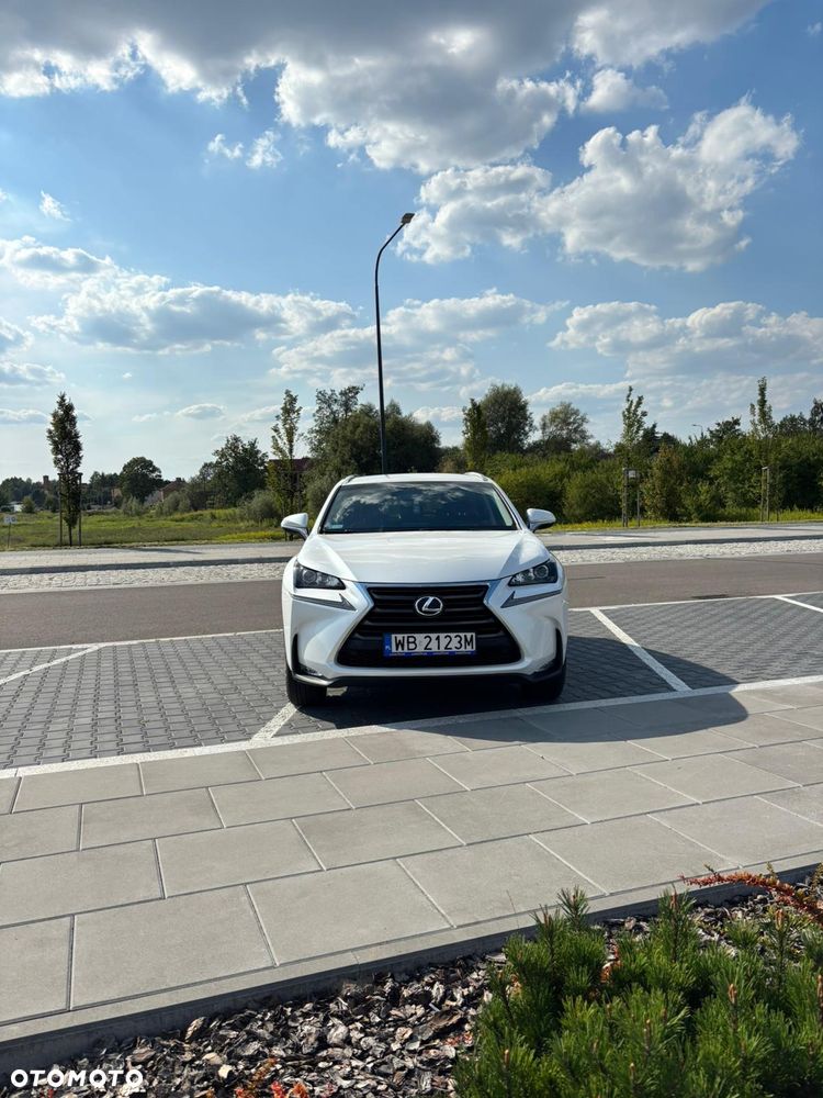 Lexus NX 300h Elegance AWD - 5