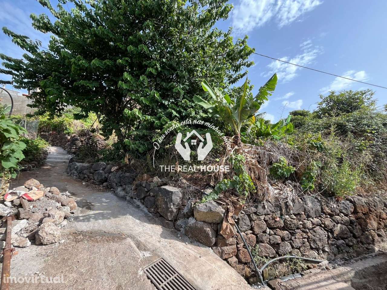 Terreno para Construção em Santa Cruz - Grande imagem: 3/20