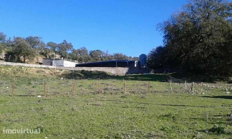 QUINTA COM PAVILHÃO (TODA MURADA) - Grande imagem: 3/3
