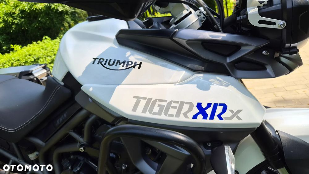 Triumph Tiger - 11