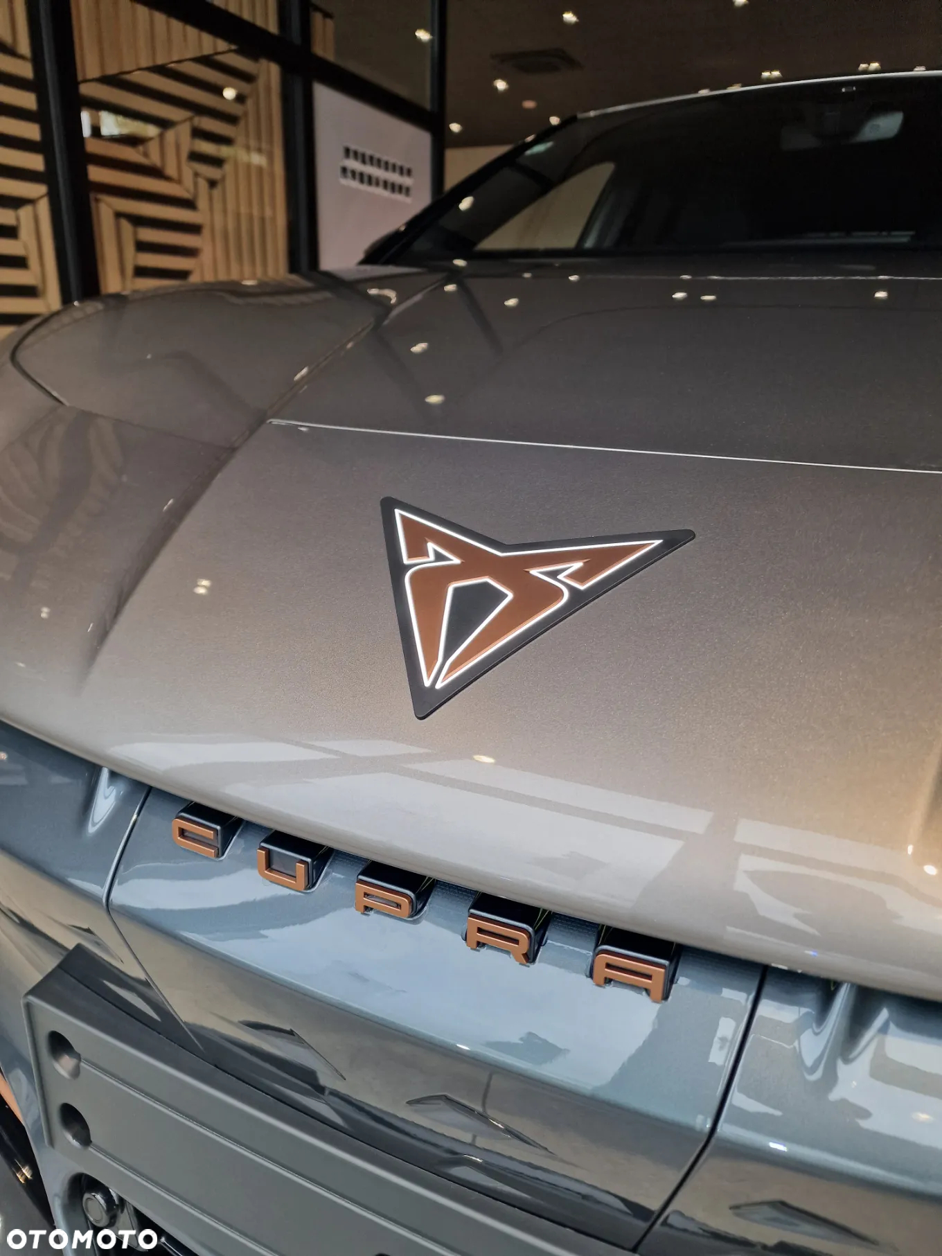 Cupra Tavascan 82kWh Endurance - 10