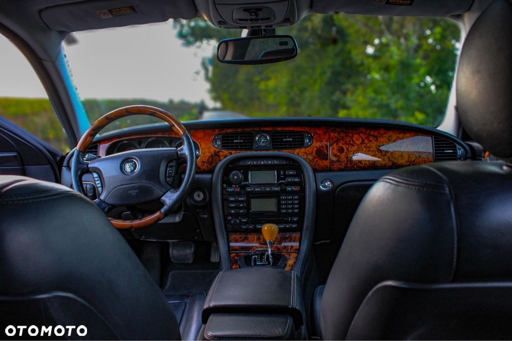 Jaguar Inny - 7