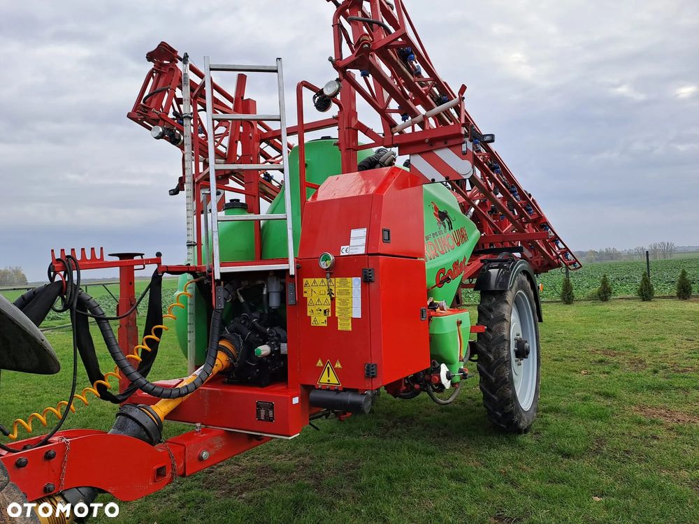 Krukowiak Goliat - 1