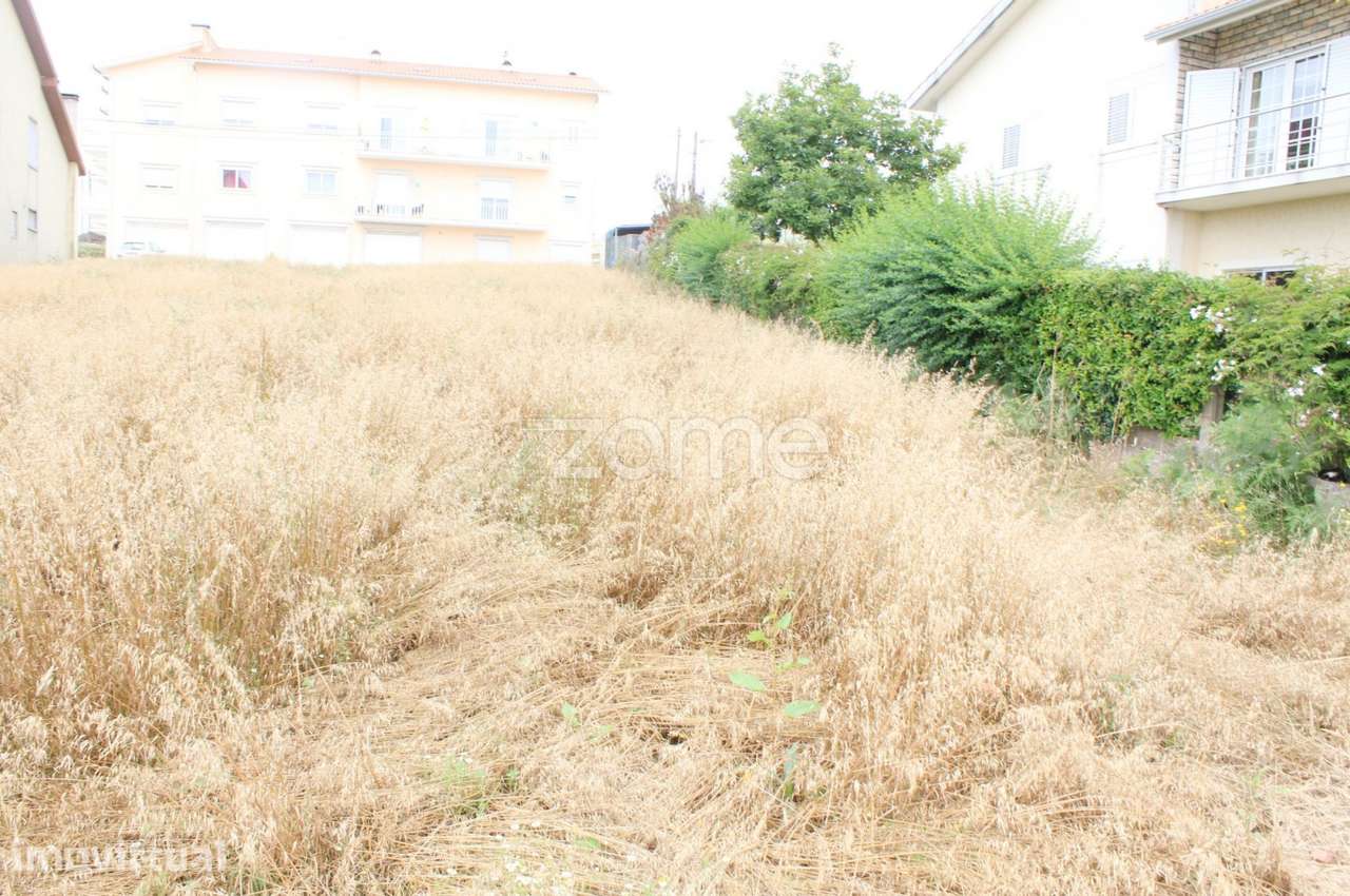 Terreno para Construção| Penacova| Coimbra - Grande imagem: 3/9