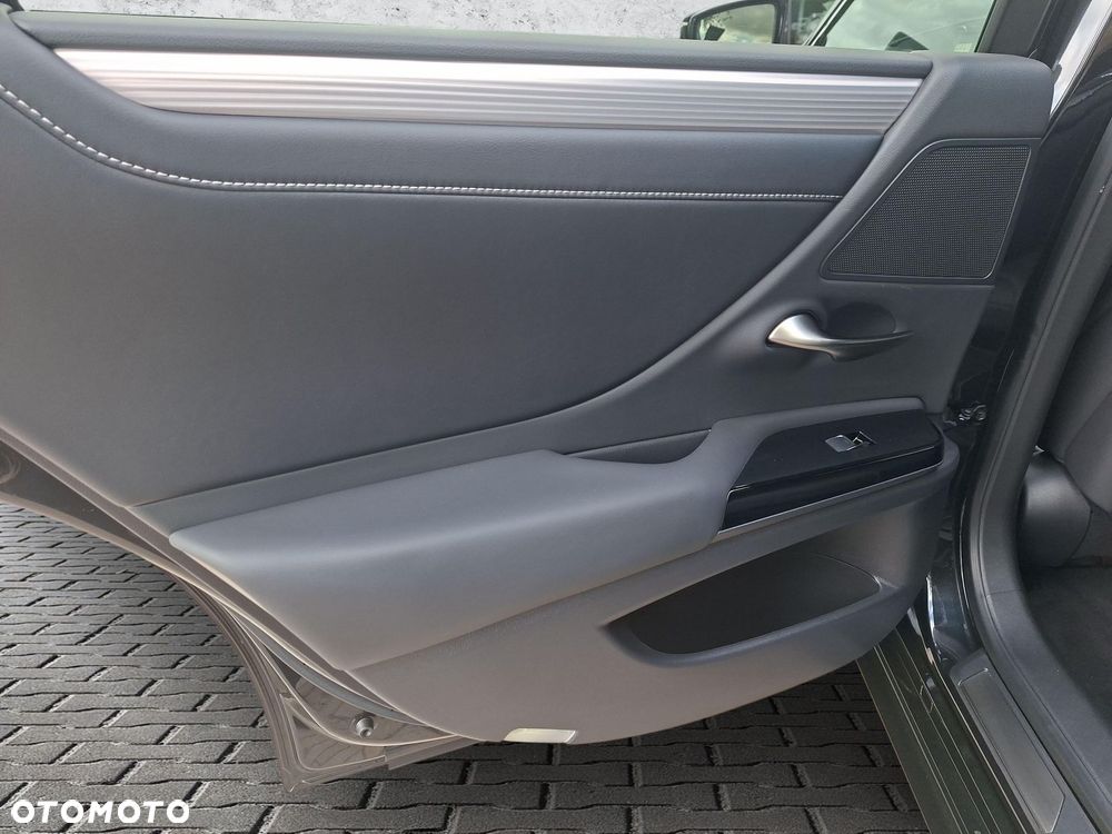 Lexus ES 300h F Sport Edition - 16