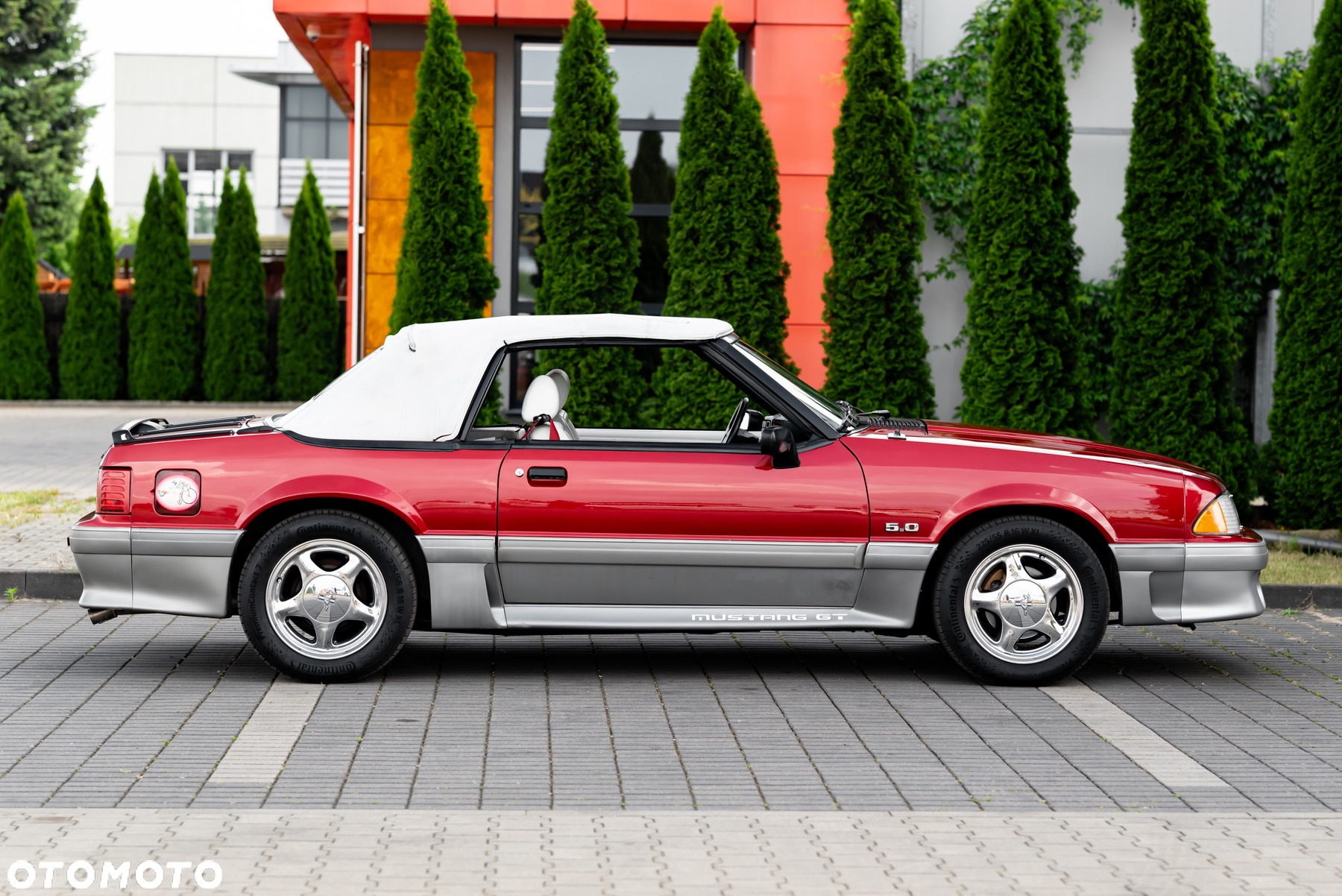 Ford Mustang 5.0 GT - 16