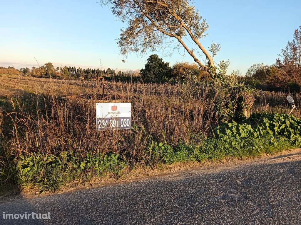 Terreno com 12 m de frente a poucos minutos do centro de Vagos - Grande imagem: 2/23