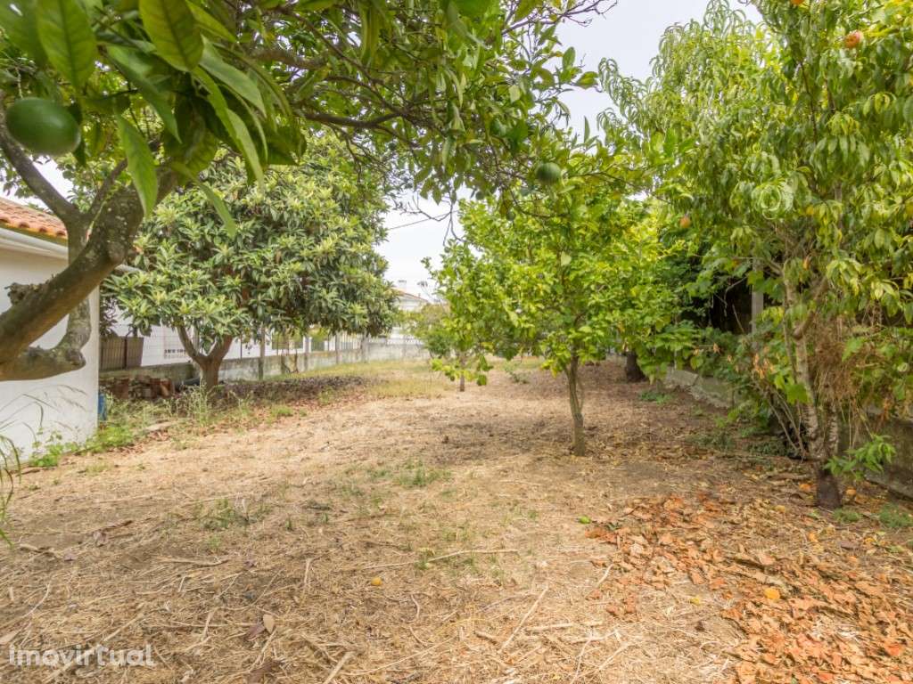 Moradia Isolada T3 - Sobreda - Oportunidade - Grande imagem: 5/24