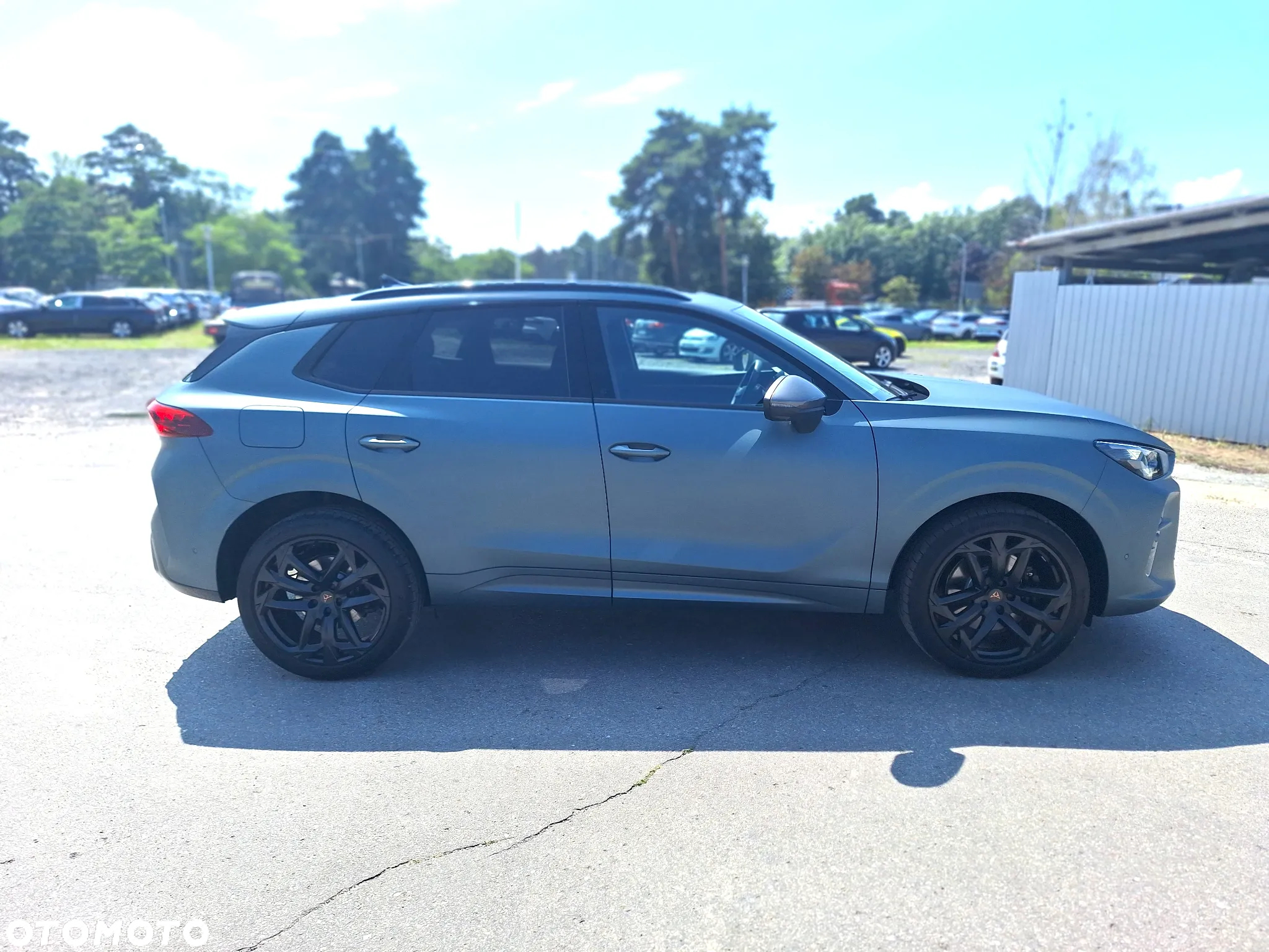Cupra Terramar 2.0 TSI 4Drive VZ America's Cup DSG - 6