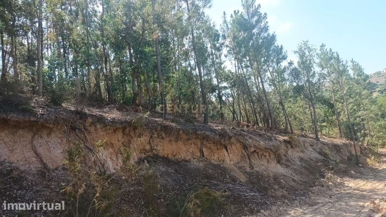 Terreno Urbano para construção no  Arrabal , 1.850m2 - Grande imagem: 5/5