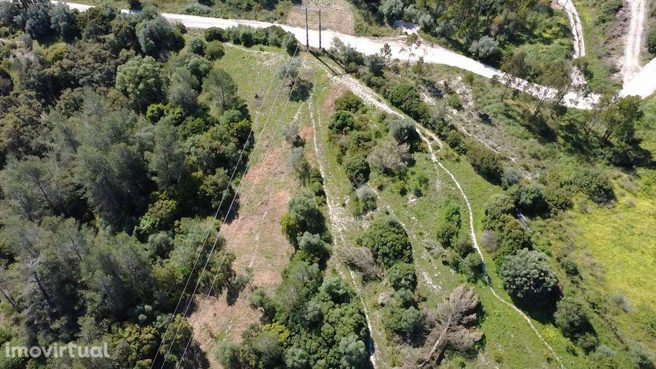 Terreno agrícola - Grande imagem: 2/15