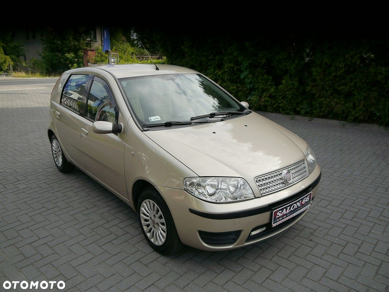 Fiat Punto - 3