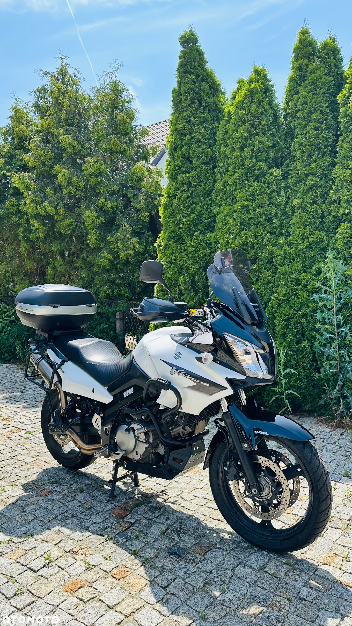 Suzuki DL - 2