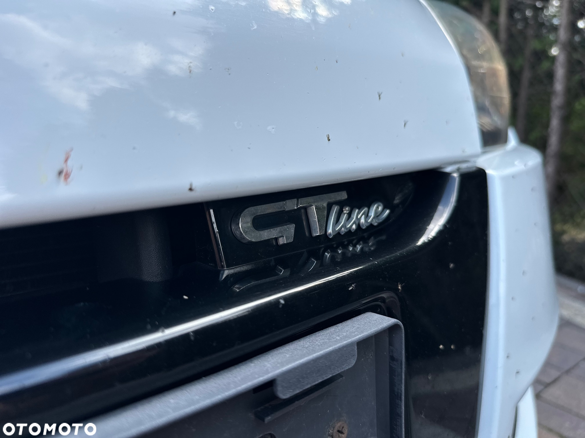 Renault Megane - 30