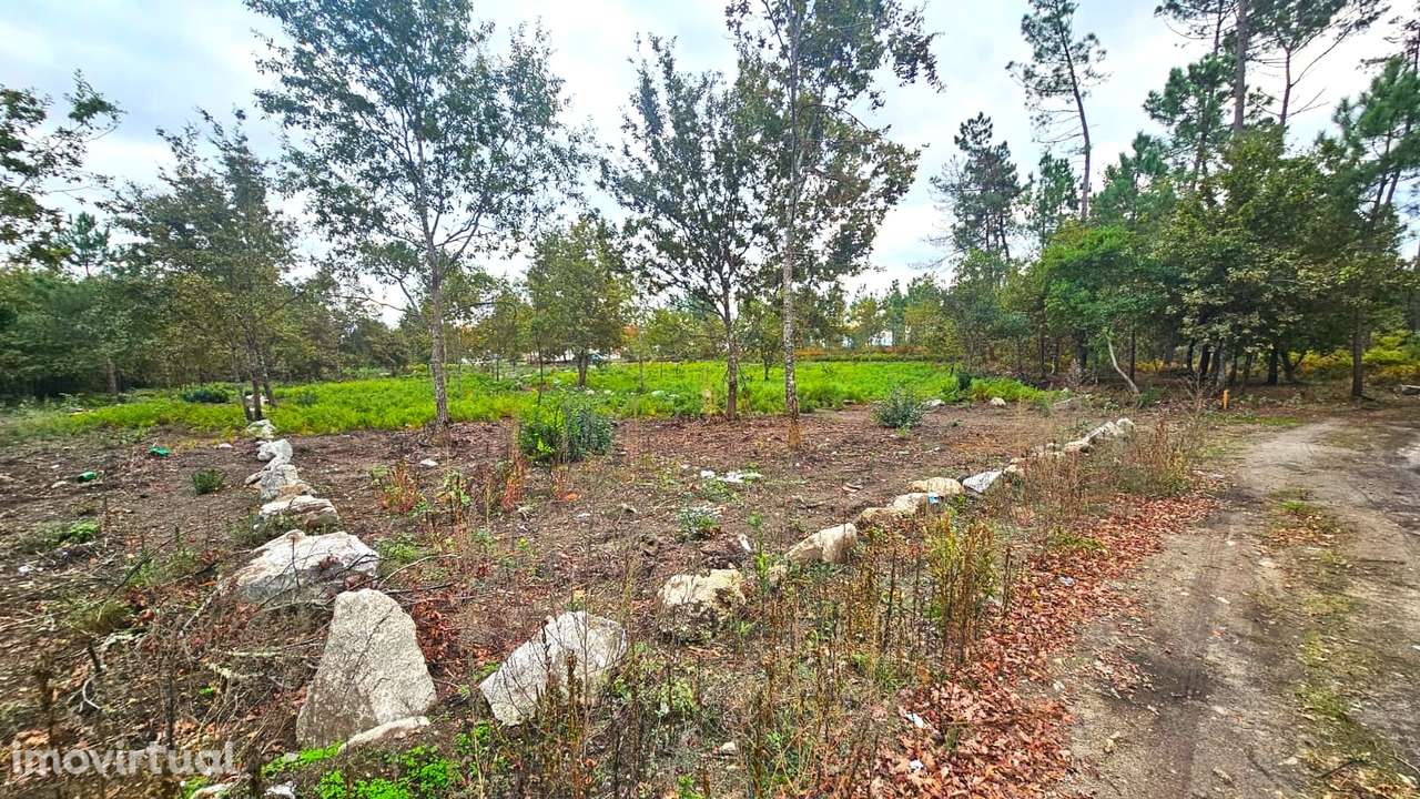 Terreno Rústico  Venda em Rio de Loba,Viseu - Grande imagem: 2/5