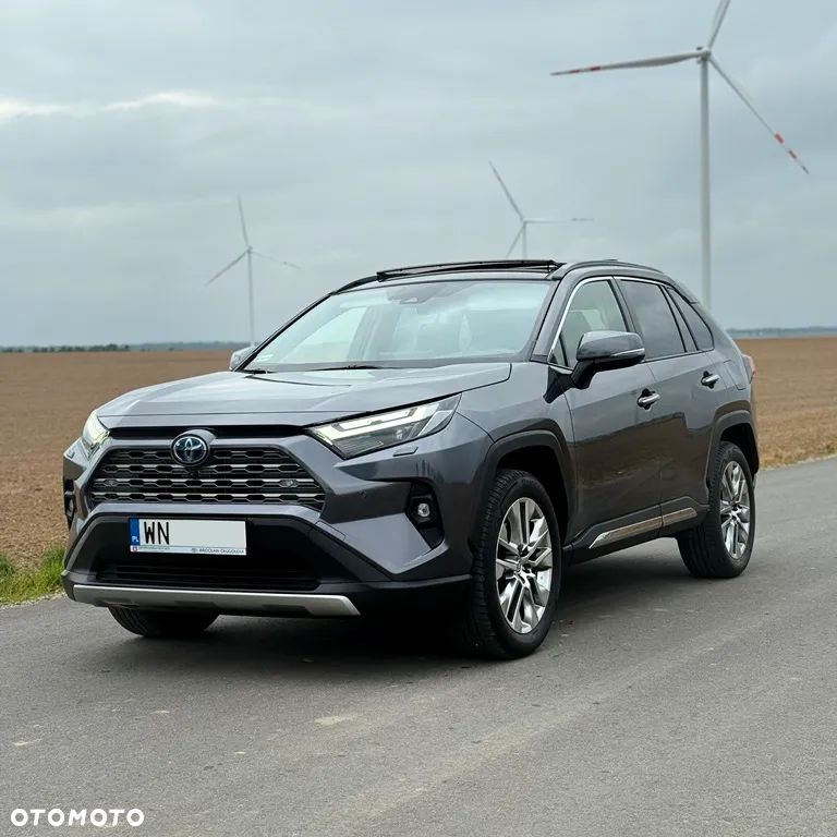 Toyota RAV4 2.5 Hybrid Executive 4x4 - 5