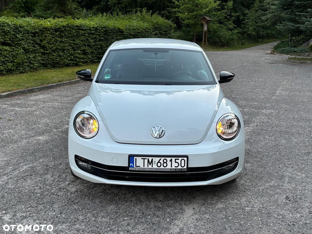 Volkswagen Beetle - 3