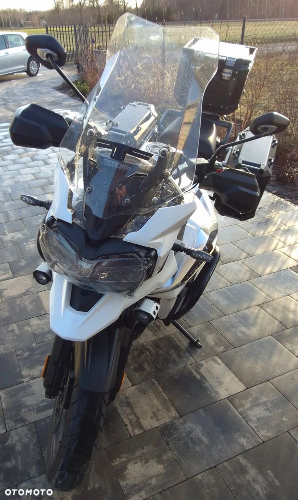 Triumph Tiger - 17