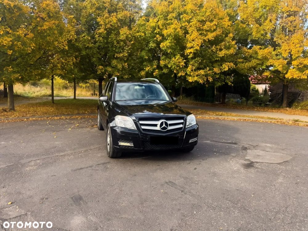 Mercedes-Benz Glk 2010 photo 4