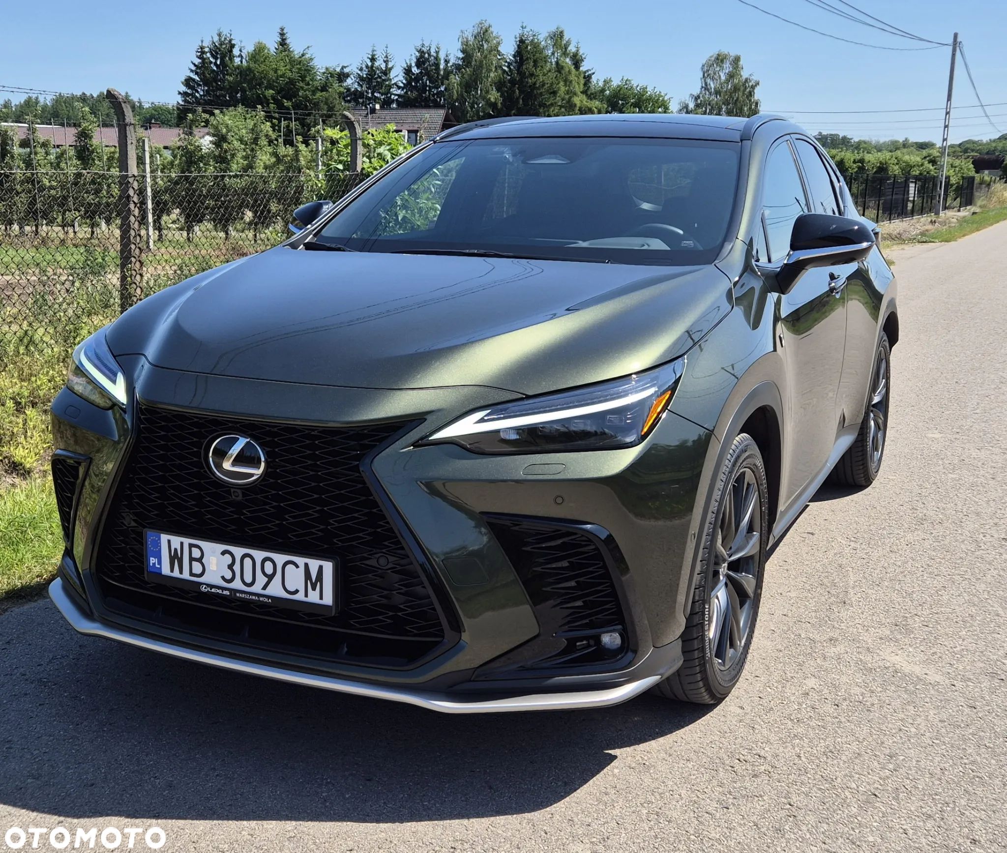 Lexus NX 350h F Sport AWD - 1