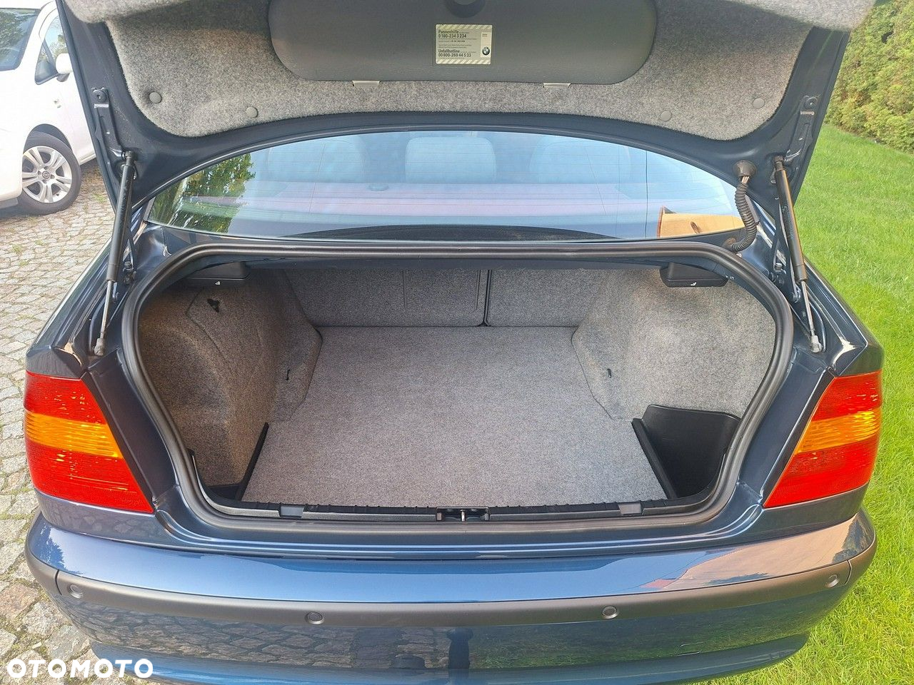 BMW Seria 3 318i Edition Exclusive - 19