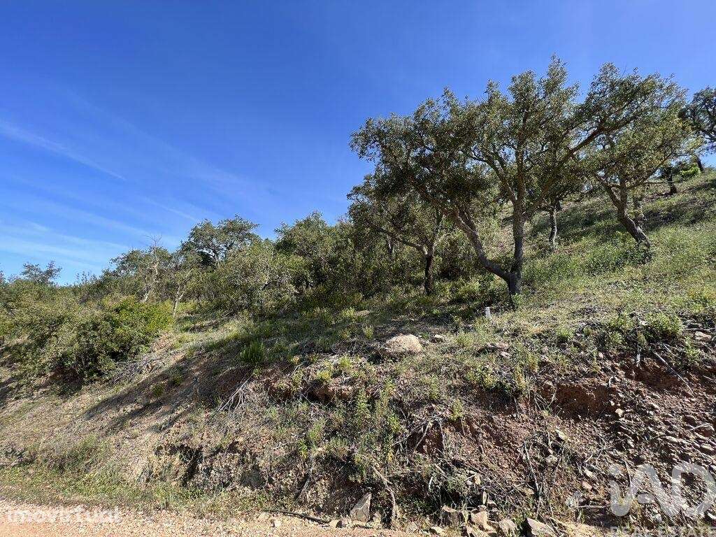 Terreno em Alte de 21390,00 m2 - Grande imagem: 4/11